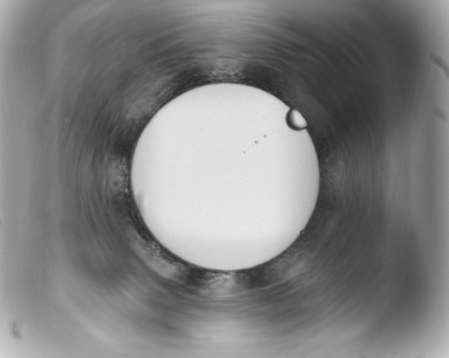 X0000103910083200810031223
