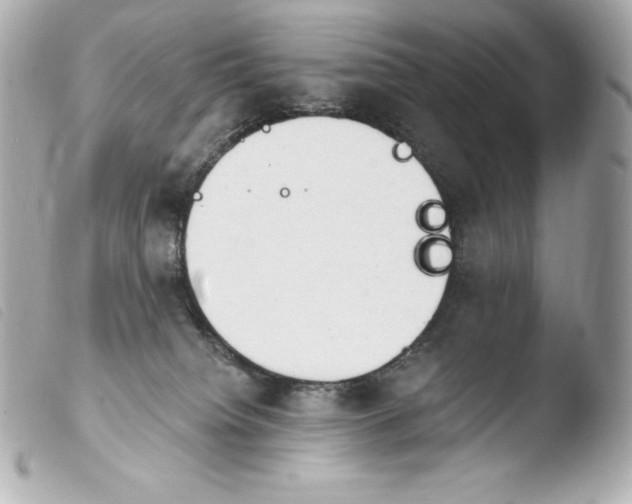 X0000103910084200810031223