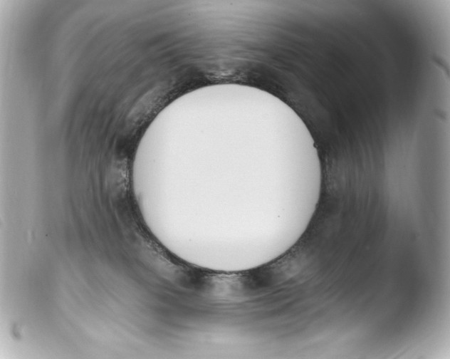 X0000103910085200810031223