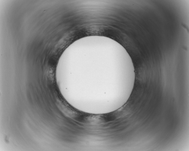 X0000103910086200810031223