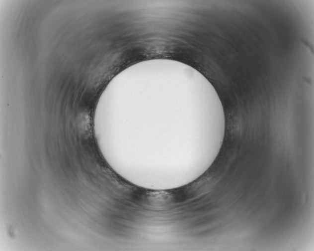 X0000103910087200810031223