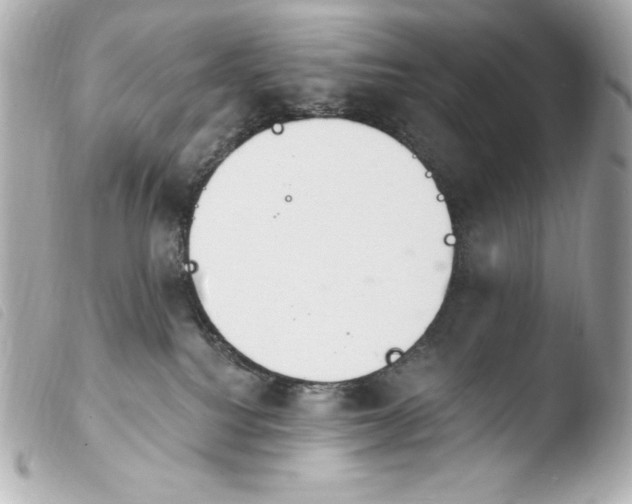 X0000103910088200810031223