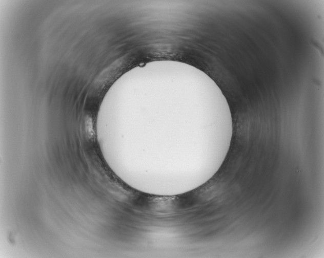 X0000103910089200810031223