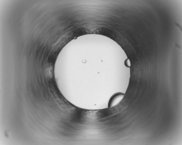 X0000103910090200810031223