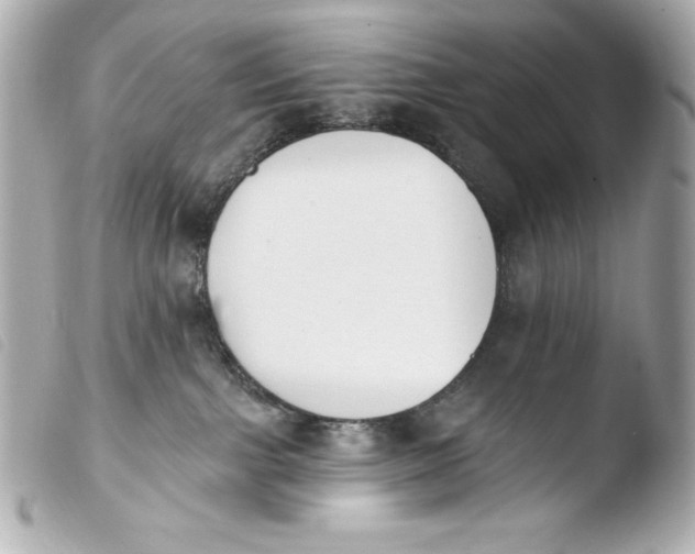 X0000103910091200810031223