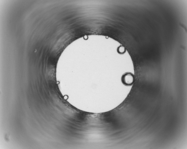 X0000103910092200810031223