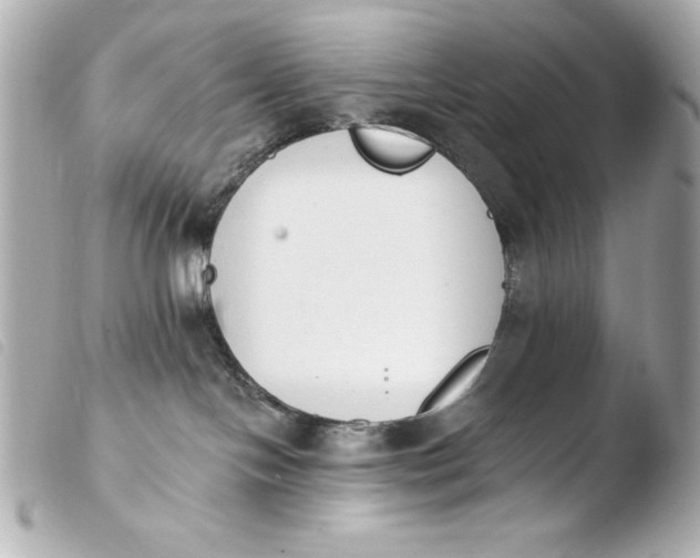 X0000103910094200810031223