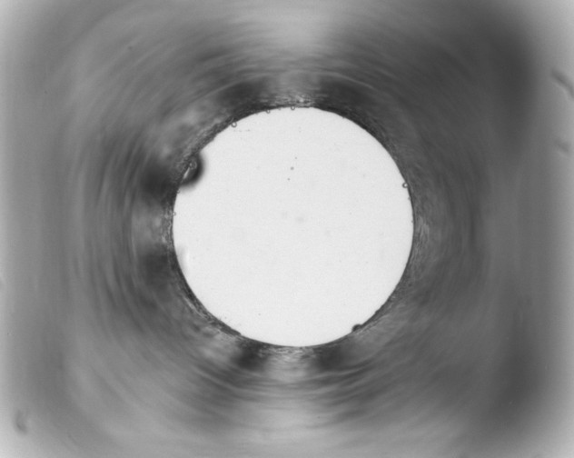 X0000103910096200810031223