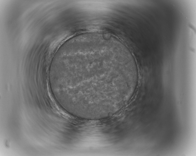 X0000103910097200810031222