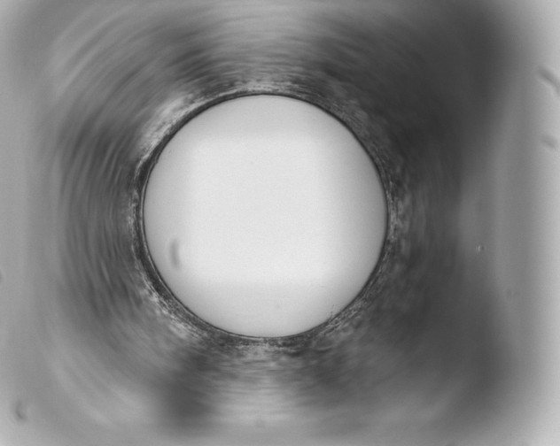 X0000103910098200810031222