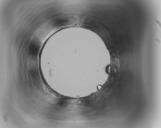 X0000103910100200810031222