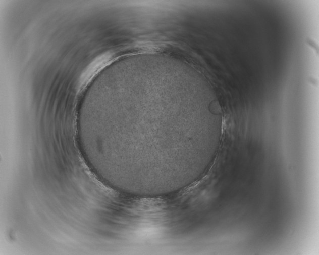 X0000103910101200810031222