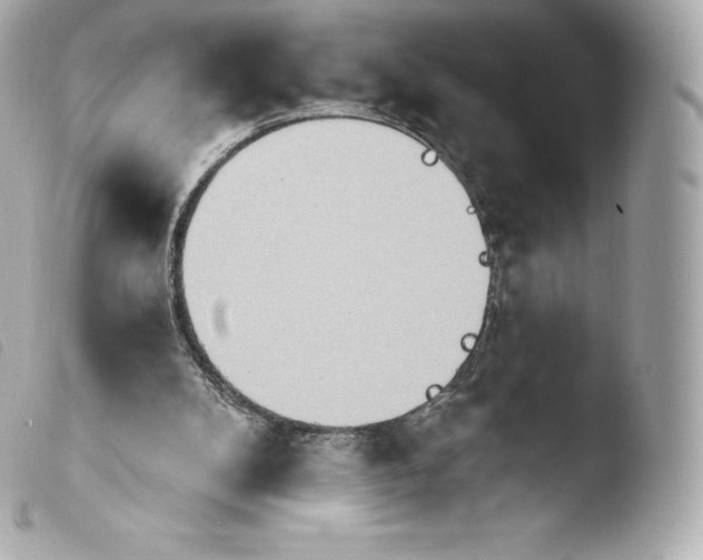 X0000103910104200810031222