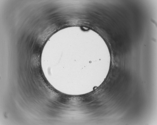 X0000103910105200810031222