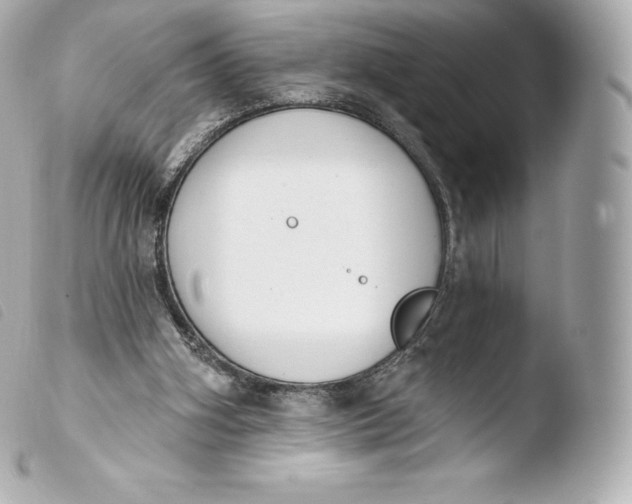 X0000103910106200810031222