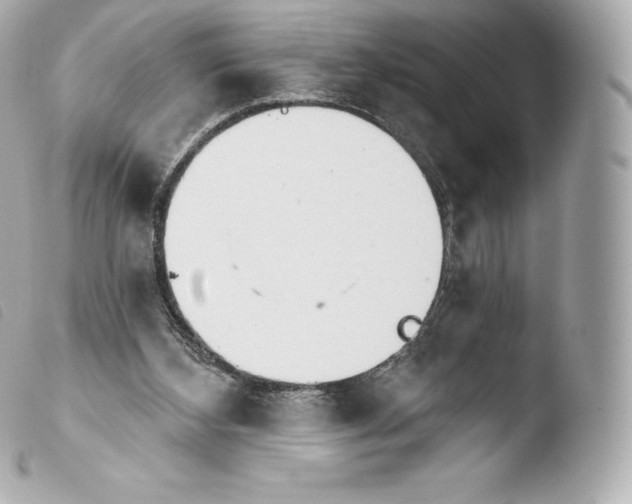 X0000103910108200810031222