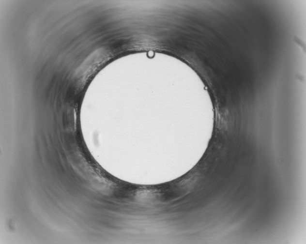X0000103910109200810031222