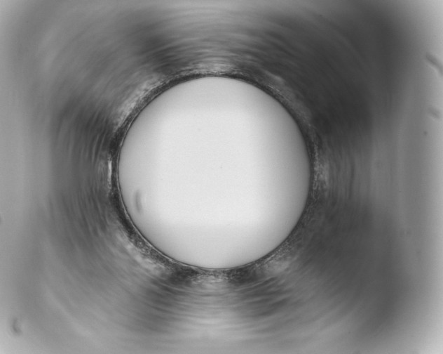 X0000103910110200810031222