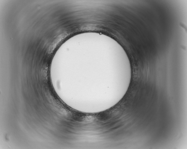 X0000103910111200810031222