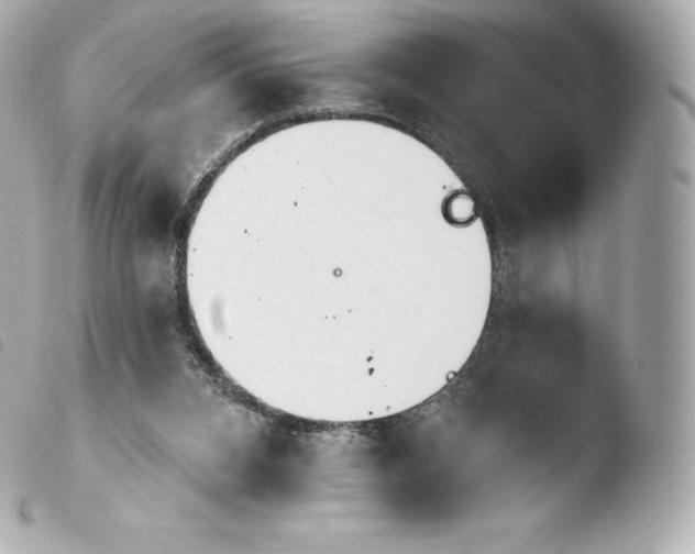 X0000103910112200810031222