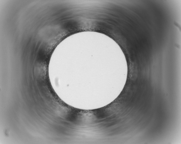 X0000103910113200810031222