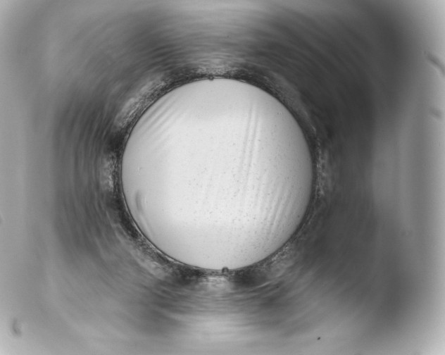 X0000103910114200810031222
