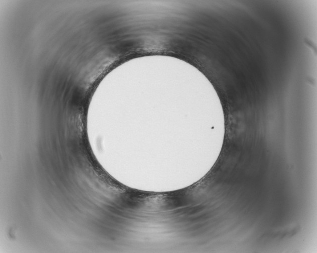X0000103910116200810031222