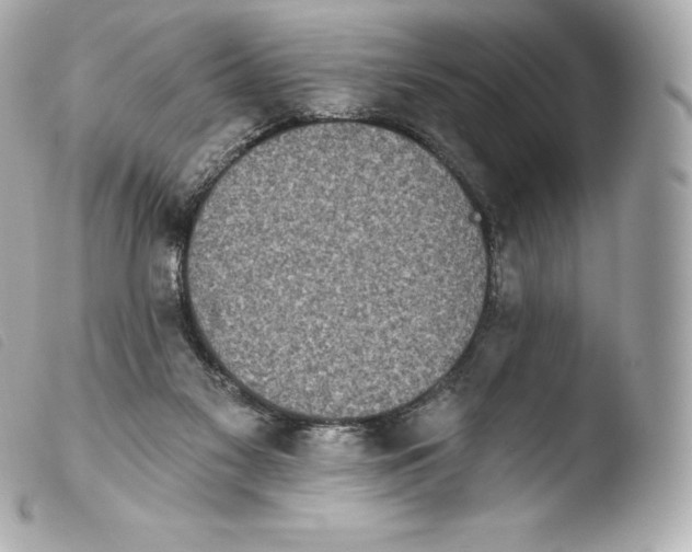 X0000103910117200810031222