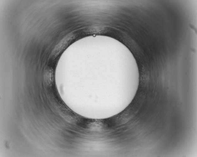 X0000103910119200810031222