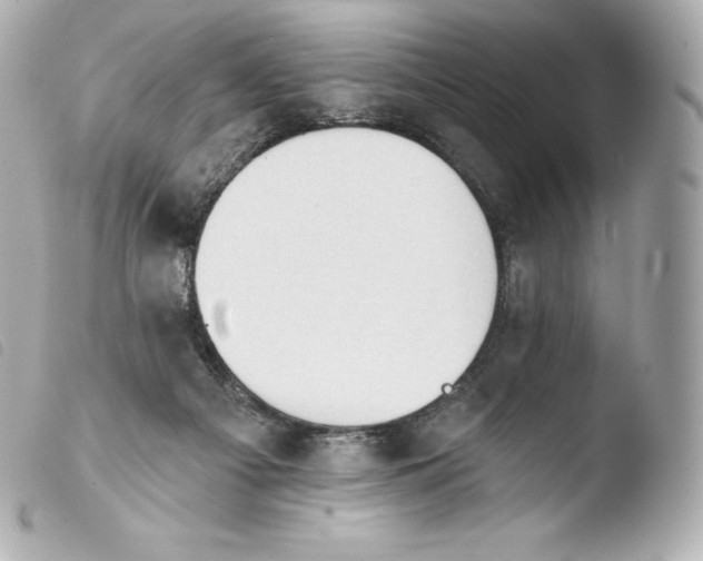 X0000103910121200810031222