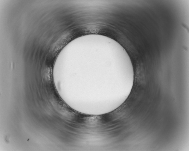 X0000103910122200810031222