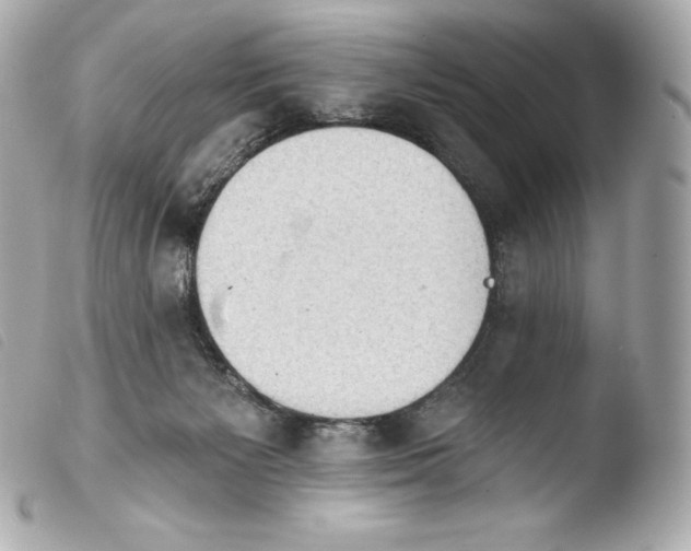 X0000103910125200810031222