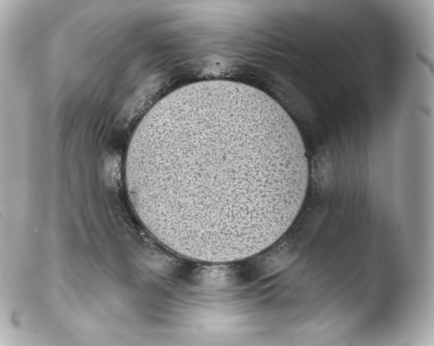 X0000103910127200810031222