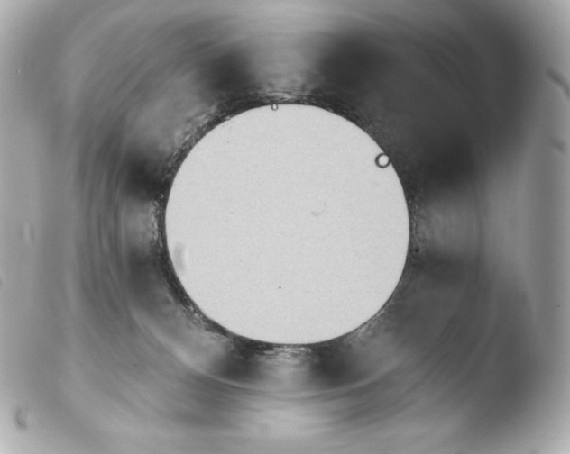 X0000103910128200810031222
