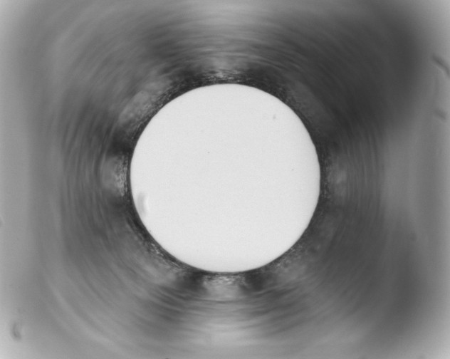 X0000103910129200810031222