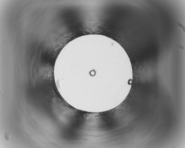 X0000103910132200810031222