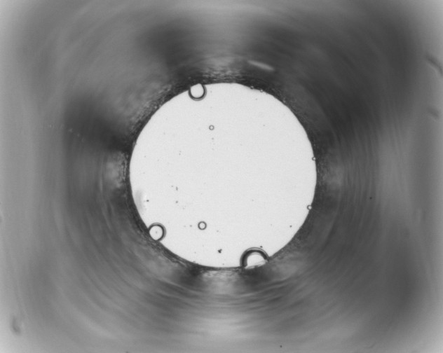 X0000103910133200810031222