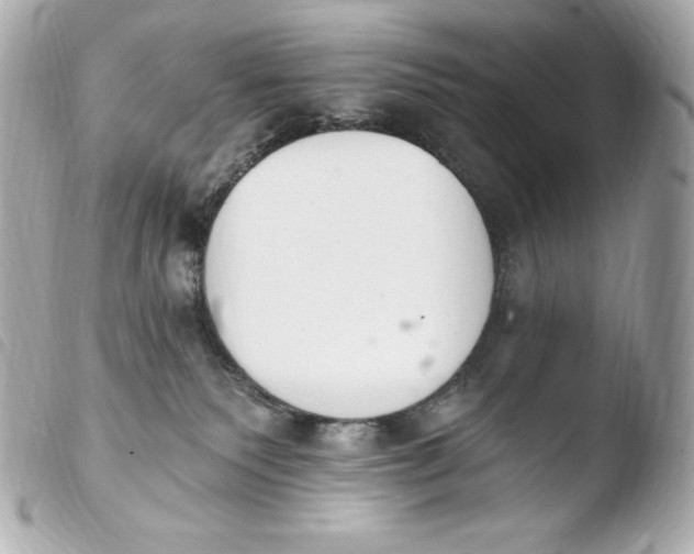 X0000103910135200810031222