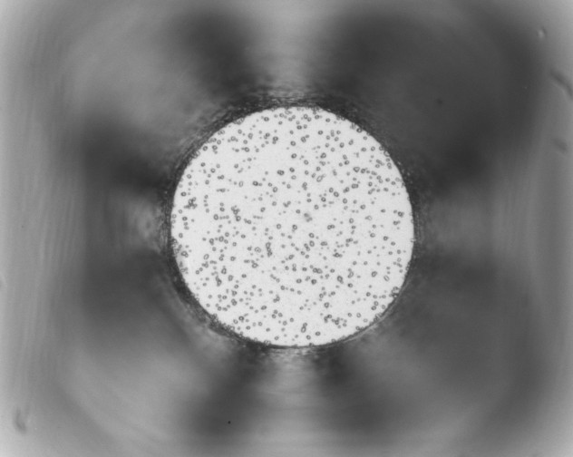 X0000103910136200810031222