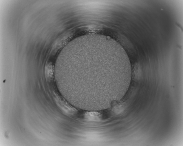 X0000103910137200810031222