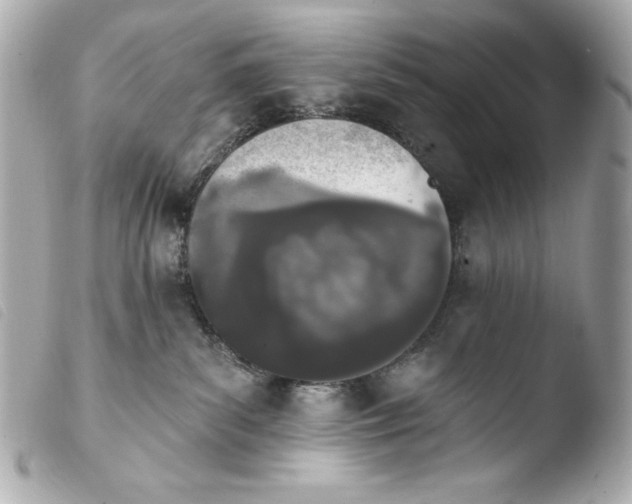 X0000103910139200810031222