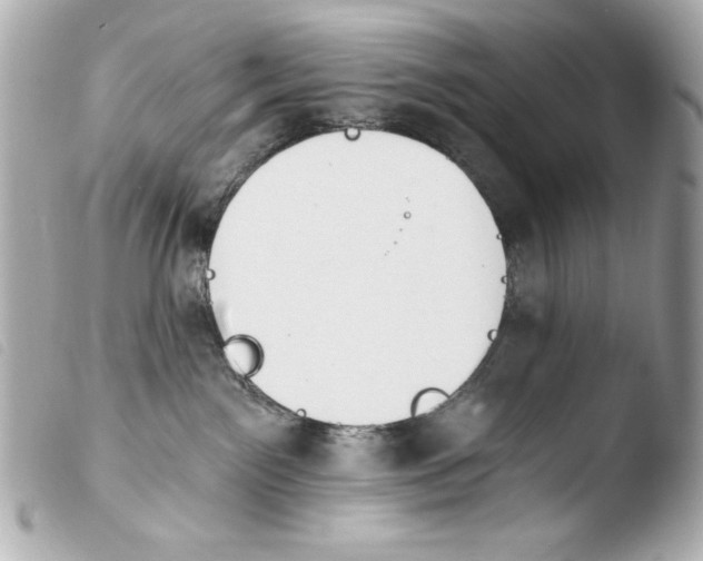 X0000103910141200810031221