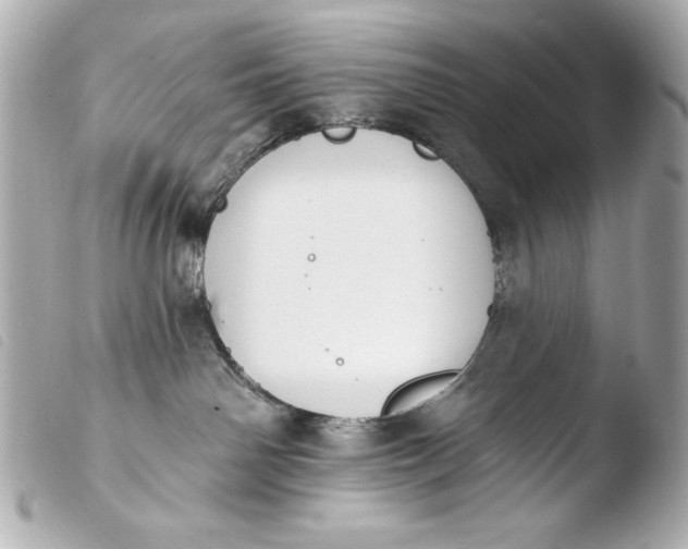 X0000103910142200810031221