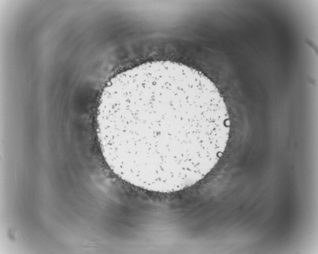 X0000103910144200810031221