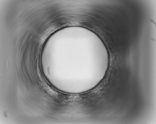 X0000103910145200810031221