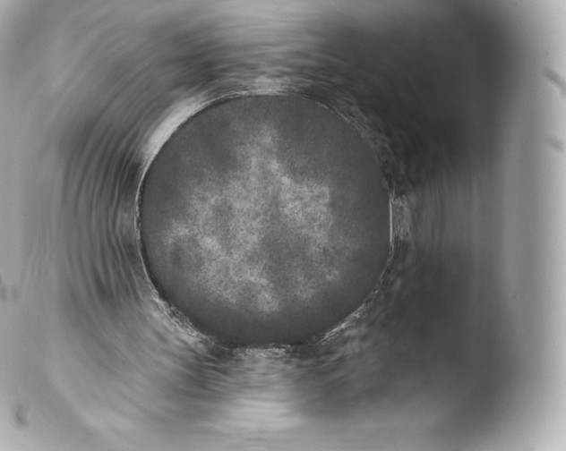 X0000103910147200810031221