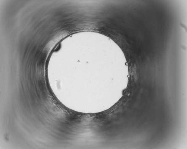 X0000103910148200810031221