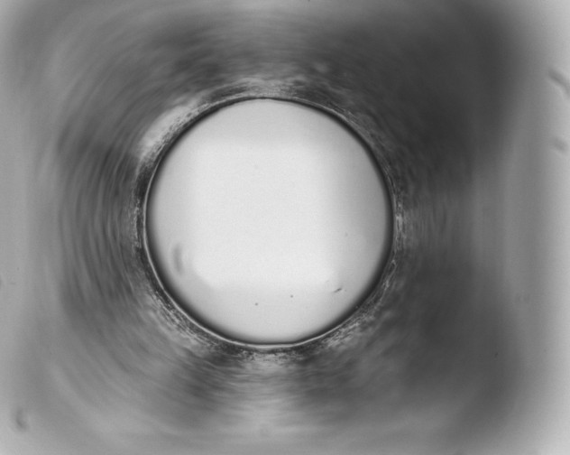 X0000103910149200810031221