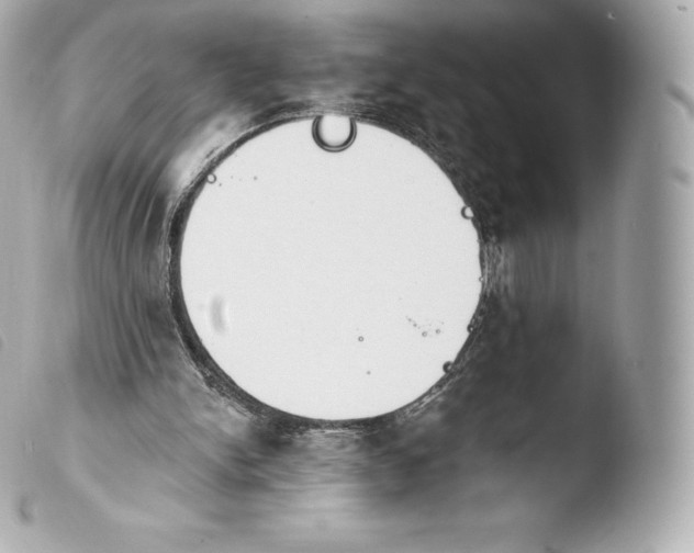 X0000103910150200810031221