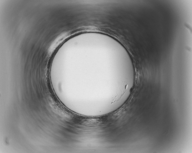 X0000103910151200810031221